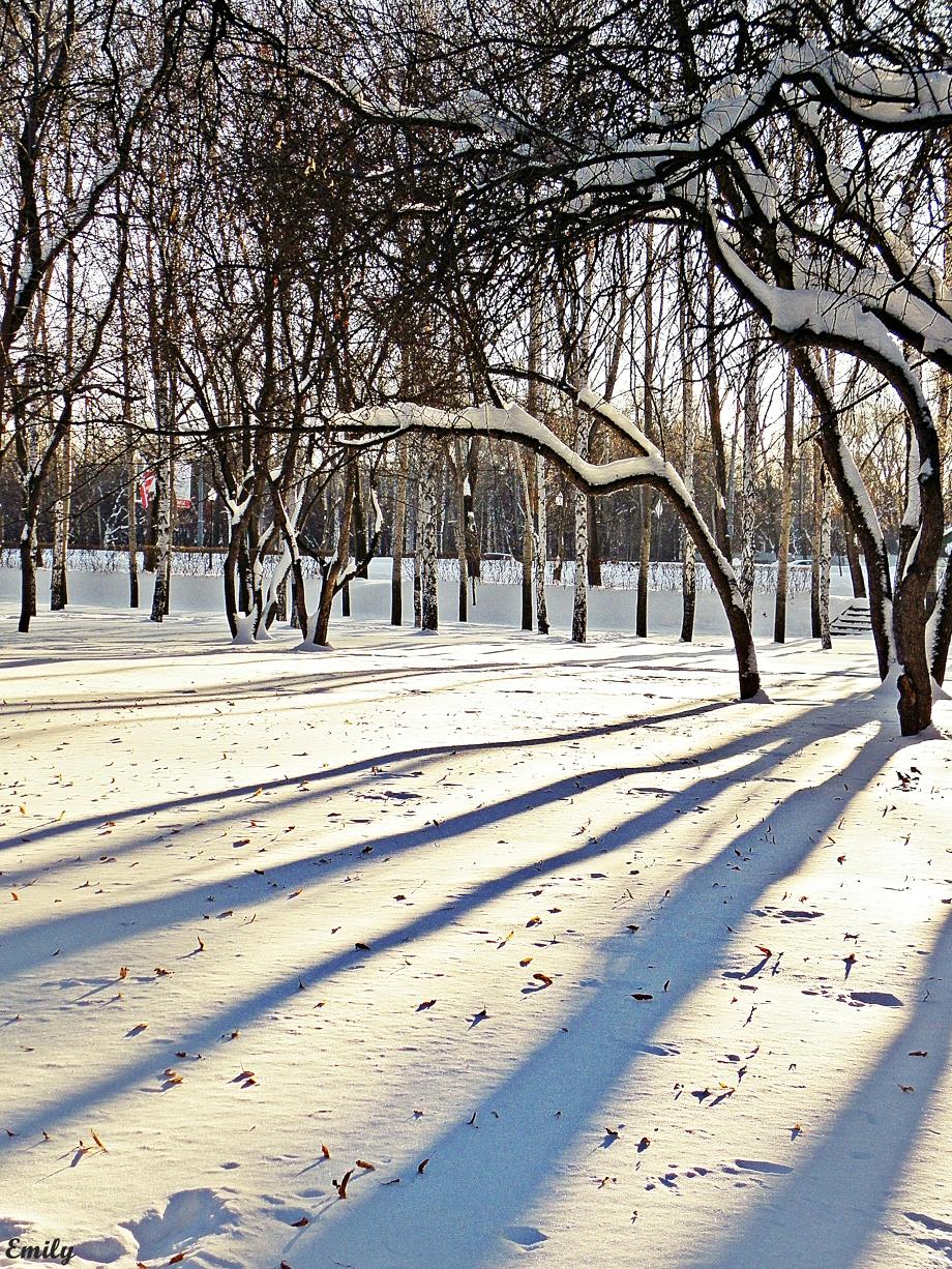 харитоновский парк зимой
