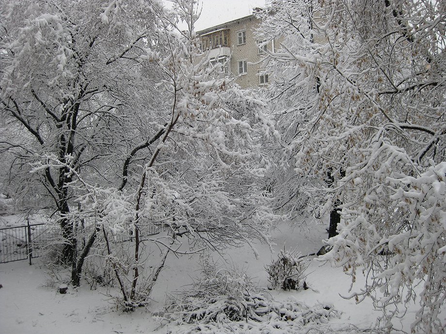 Снежная зима. Снежная 1. Снег в июне. Снег в саратове. Сугробы во дворе.
