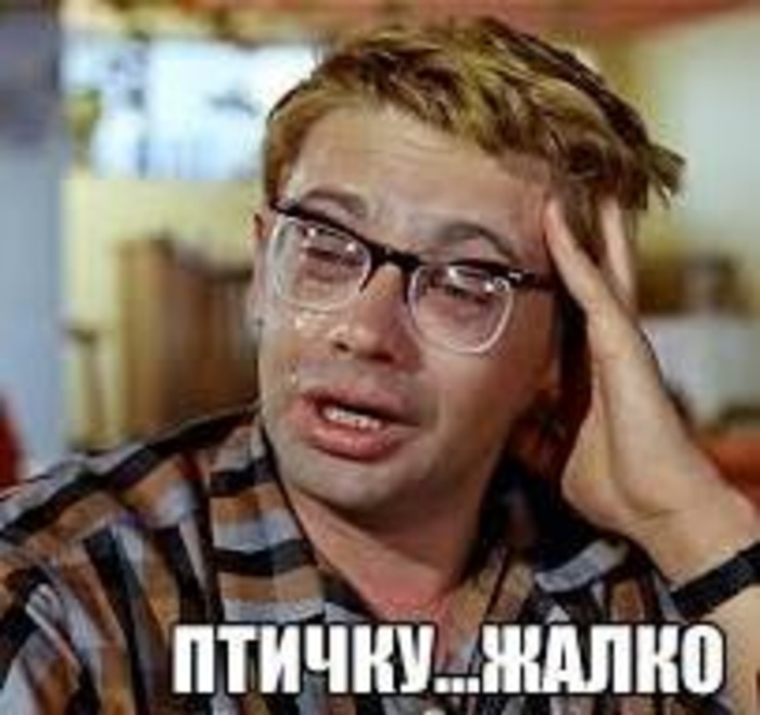 Без названия.jpg