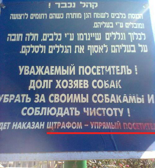 Убери за собакой