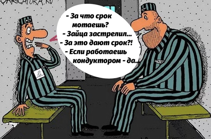 Зайца застрелил.jpg