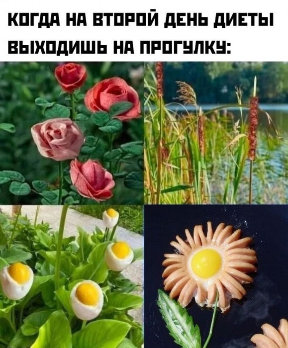 2-й день диеты.jpg