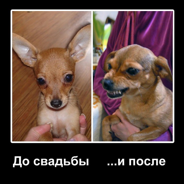 Фото до и после прикол фото