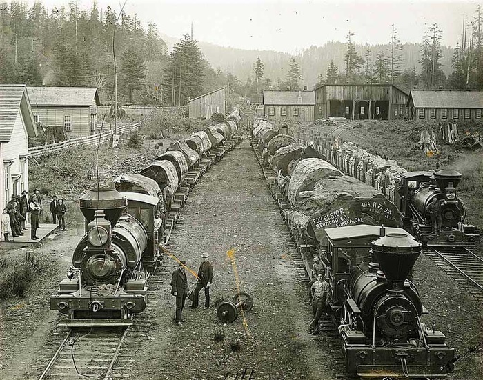 Поезд огромных мамонтовых брёвен Excelsior Redwood