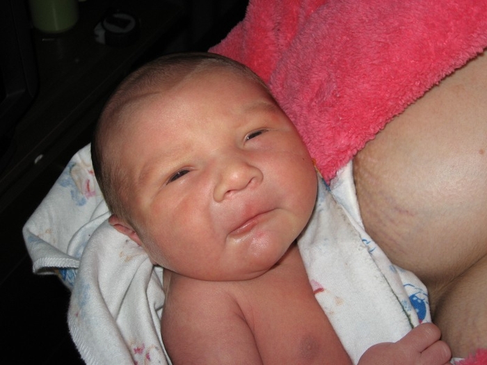 9 месяцев под сердцем и 9. девять месяцев под сердцем. 9 месяцев под сердцем. 9 месяцев под сердцем. фотосессия в ожидании чуда.