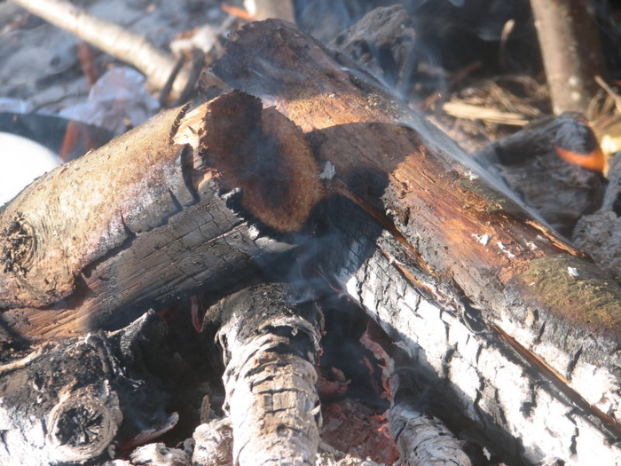 Река тимптон якутия. Пропали 2 охотника. Остров моховатый кострома. Остров моховатый кострома. Охотник на снегоходе.