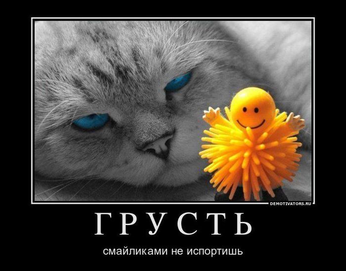 Смешные картинки, грусть картинки с юмором