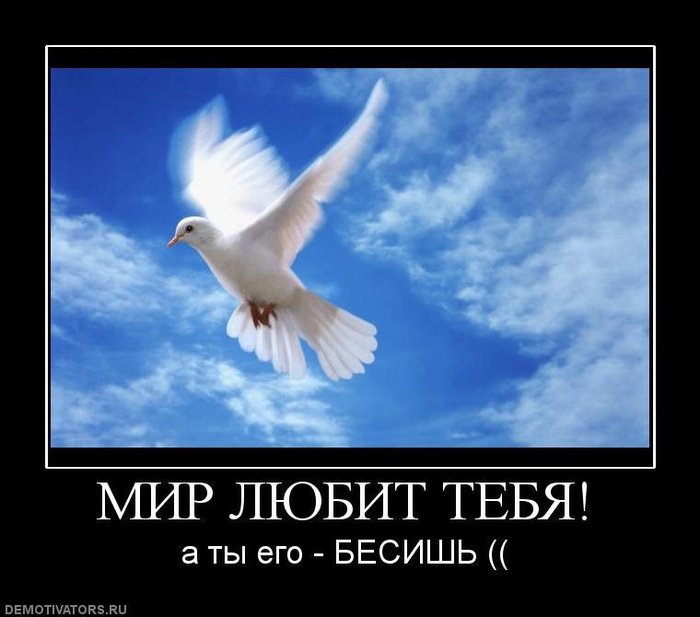 Женщина с крыльями. Парящая птица в небе. Птица свободы. Как птицей стать. Как птицей стать.