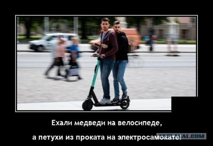 петухи на самокате.jpg