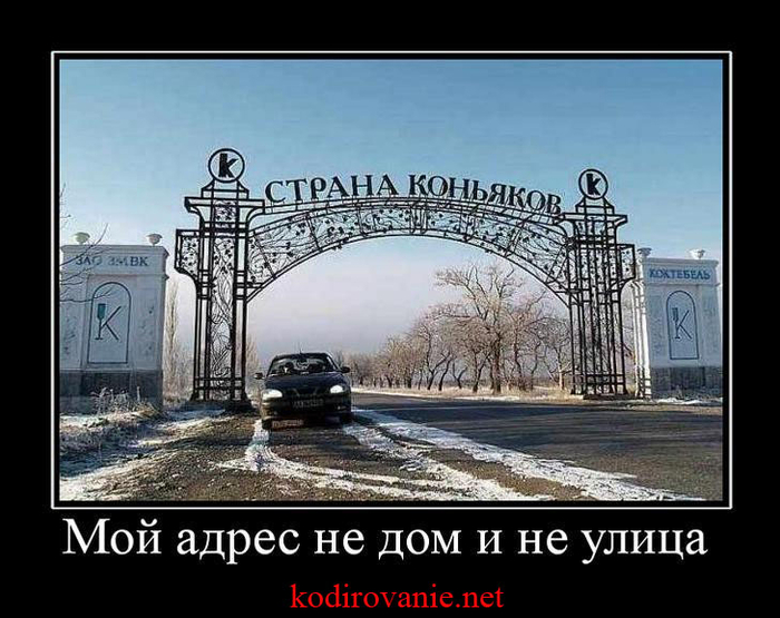 Смешной, мой адрес прикольные картинки