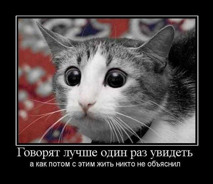 Пасхой, смешные картинки увидимся