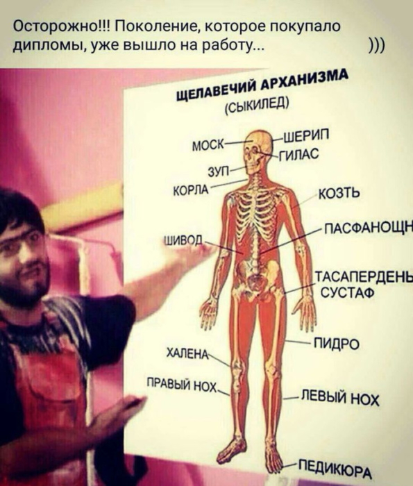 Купленные дипломы.png