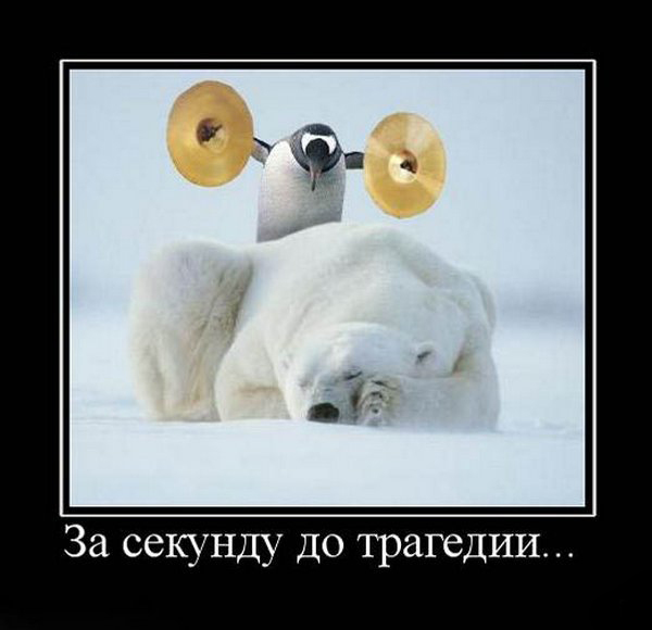 http://i.uralweb.ru/albums/fotos/f/b58/b586a970929b6a99338cdbad291fd4f2.jpg