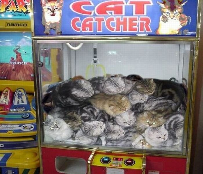 Играть онлайн в автоматы животные