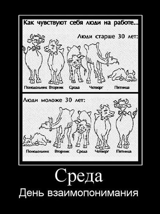 https://i.uralweb.ru/albums/fotos/f/c46/c465c90c1fc4414603fe10a092aa55e6.jpg