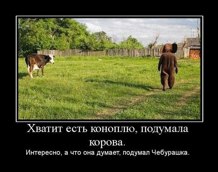 Хватит есть картинки прикольные
