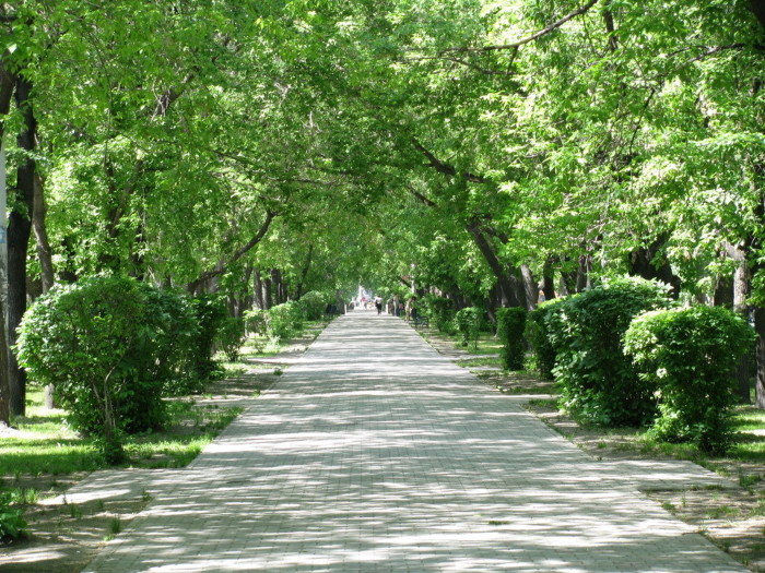 Green boulevard. Зелёный бульвар ВДК. Зелёный бульвар Владивосток фото. Морской бульвар зелёный посёлок. Зеленая ветка бульвар с.