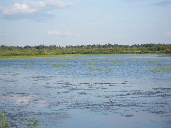 Село благовещенское свердловская область. Село Благовещенское Туринский район. С Благовещенское Туринский район Свердловская область. Шарово озеро Туринский район. Благовещенск село Туринский район.