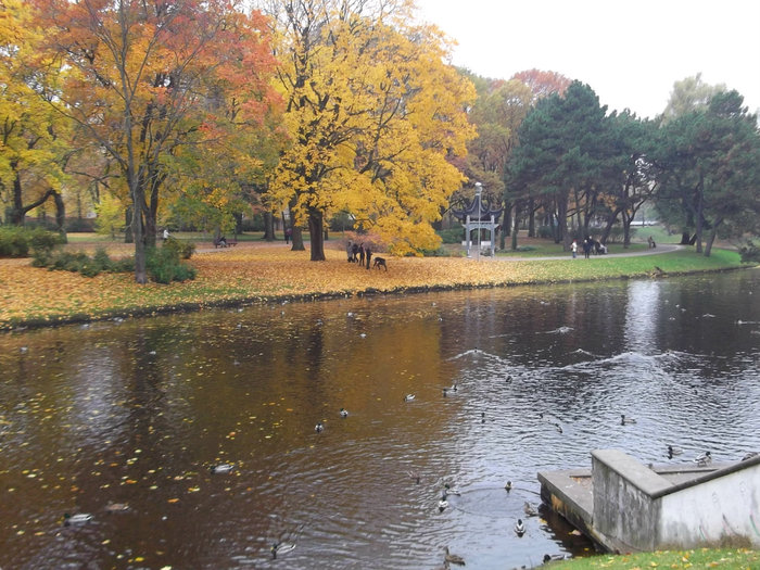 Рига октябрь. Осень в риге фото. Рига октябрь. Рига октябрь. Осень в риге фото.