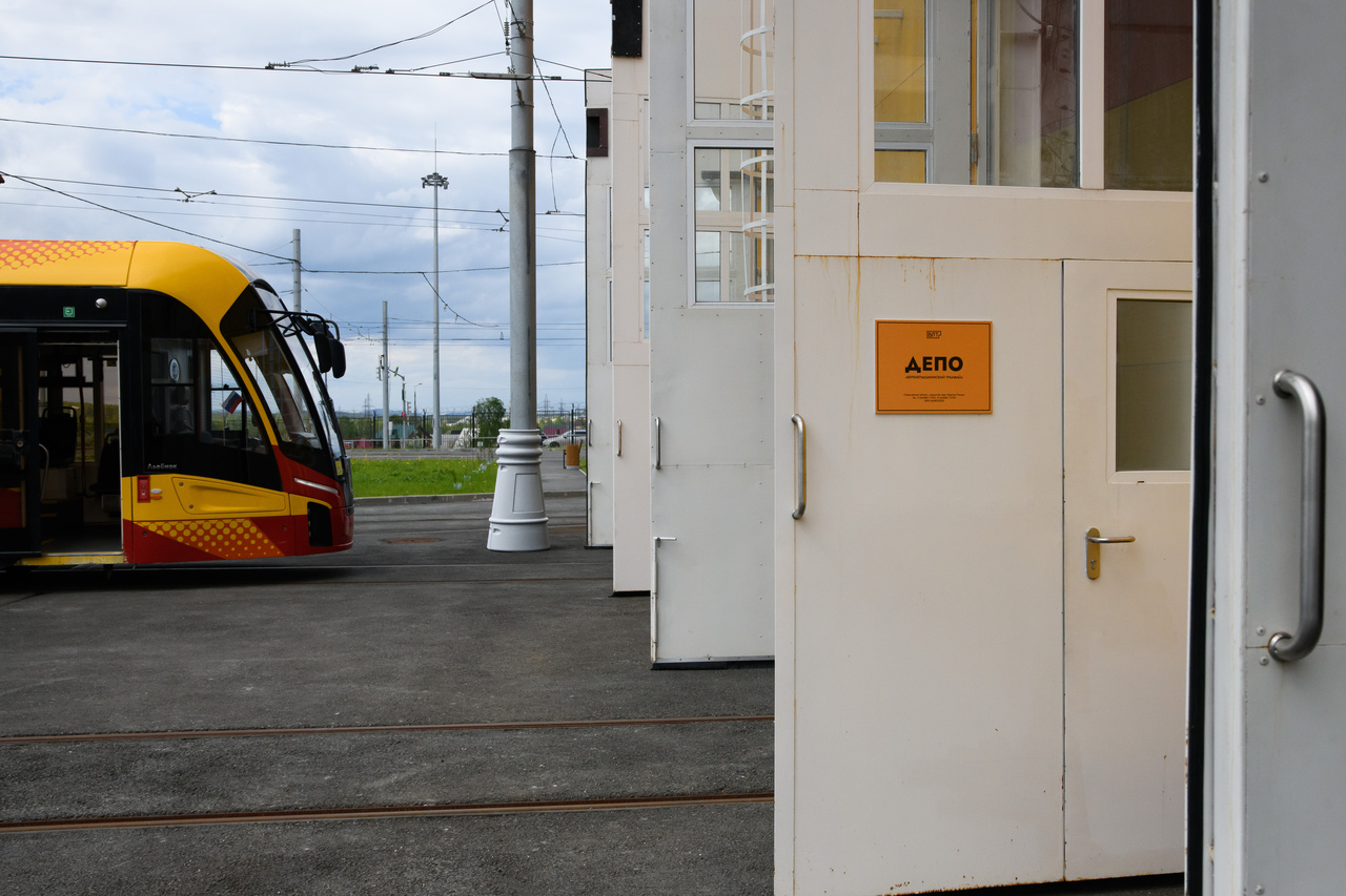 D85_4153.jpg