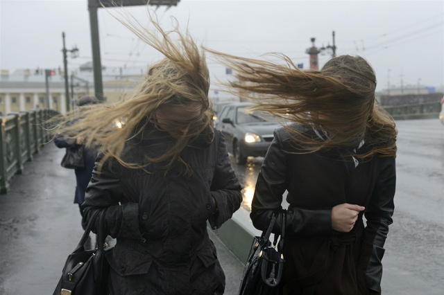Синоптики предупреждают о возможных авариях в связи со шквалистым ветром