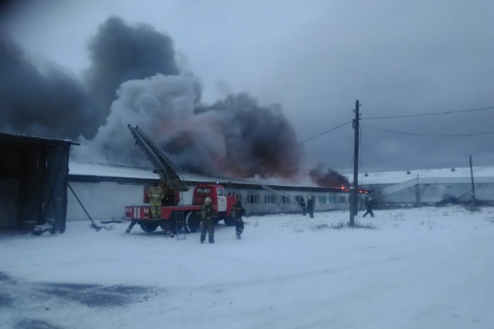 На Урале горит территория птицефабрики