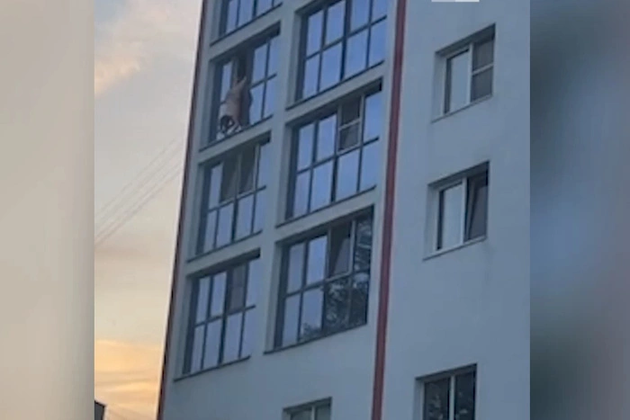 Перед смертельным падением из окна у девушки на Уктусе был конфликт