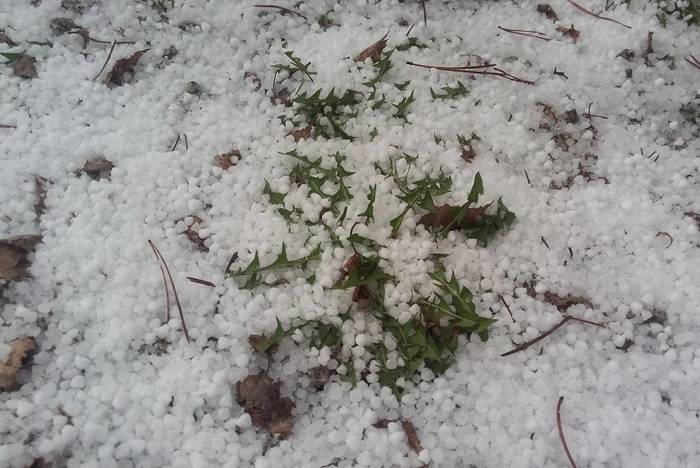 Ливни, град и ветер: в Свердловской области синоптики прогнозируют непогоду