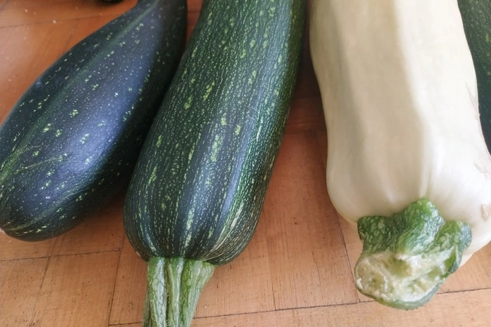 Врачи напомнили о пользе кабачков