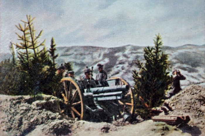 Украина отметит 100-летие «победы» австрийских войск над российскими