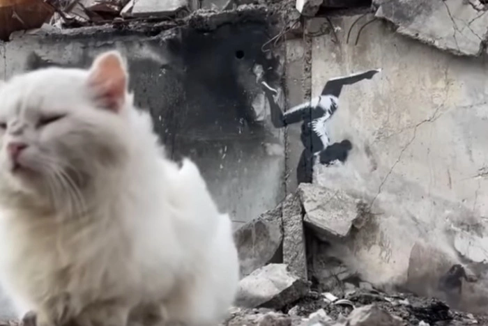 «Украинские вандалы». На Украине «отблагодарили» Бэнкси, выставив его фреску по частям на eBay