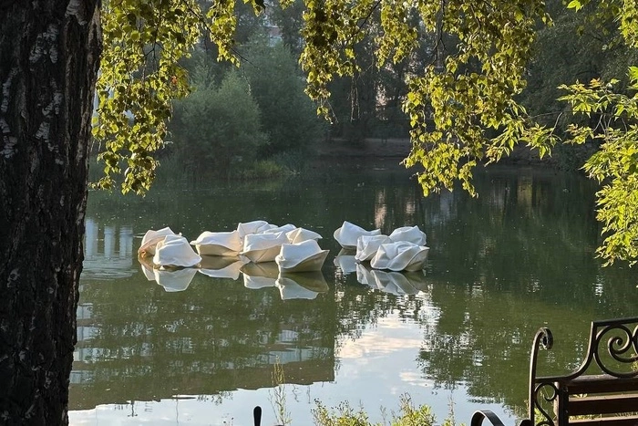 Гигантские пельмени замечены в пруду Екатеринбурга