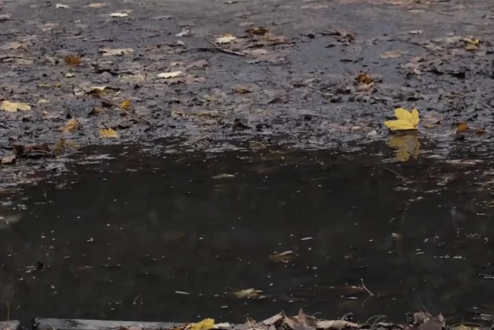 Названа страна ЕС, жители которой испытывают наибольшие трудности с оплатой счетов за отопление