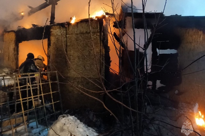СМИ: 78-летняя бабушка сгорела заживо из-за морозов в Подмосковье