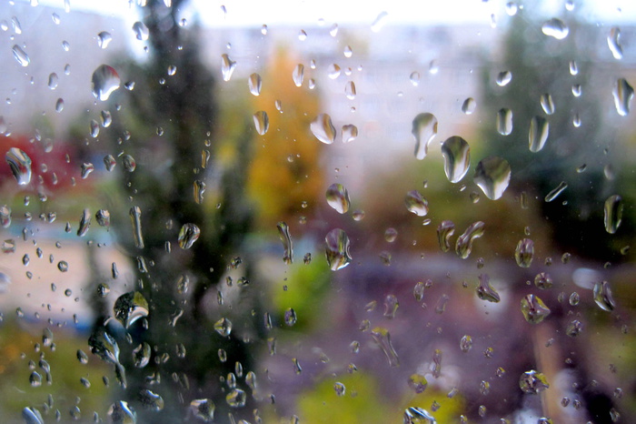 Синоптики обещают на выходные дожди