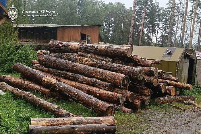 На «Бажовских местах» вырубили лес почти на полмиллиарда рублей