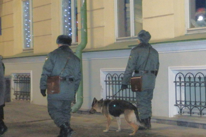 В Екатеринбурге стало меньше убийств, грабежей и краж