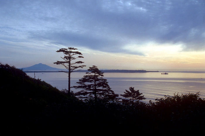 Шойгу не исключил появления военных баз на Курилах