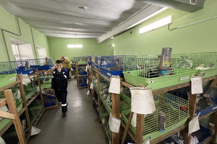 Стало известно, чем на самом деле кормят животных в зоопарке Екатеринбурга (+18)