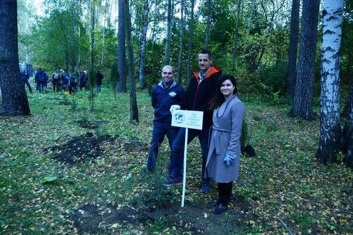 Участники Майской прогулки посадят хвойный лес