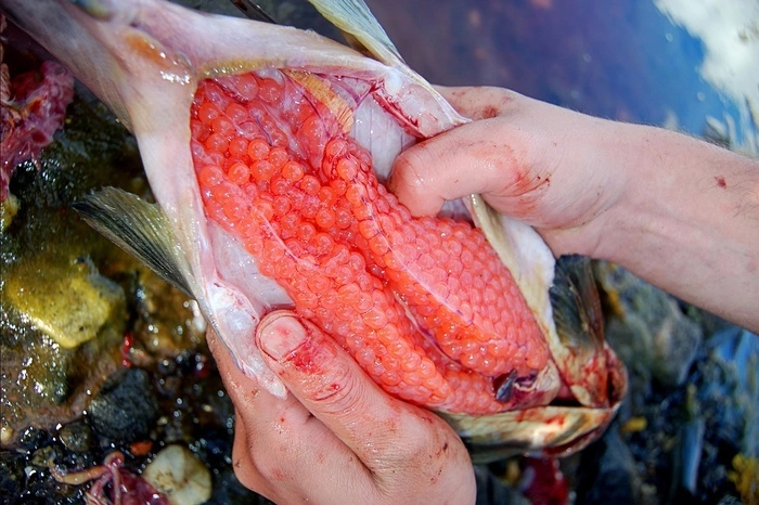 Роскачество назвало лучшие бренды российской красной икры