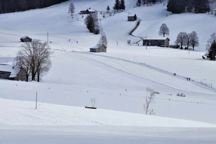 Мать, закопавшую младенца в сугроб, обвинили в покушении на убийство