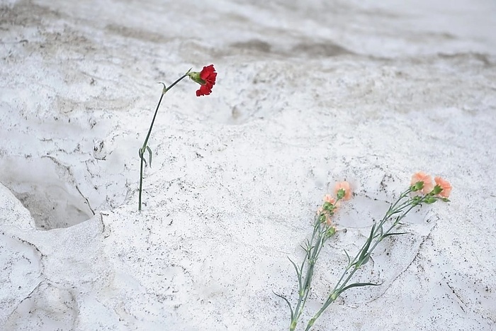 Тяжело раненного на СВО свердловского бойца дважды бросила мать