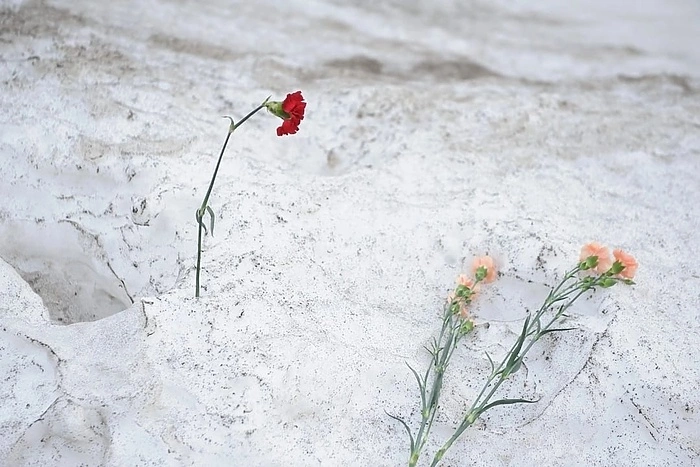 Тяжело раненного на СВО свердловского бойца дважды бросила мать