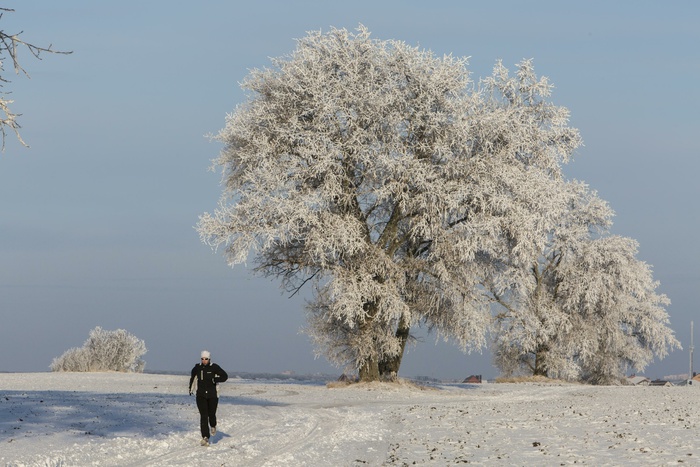 Первый зимний забег в Екатеринбурге собрал почти тысячу участников