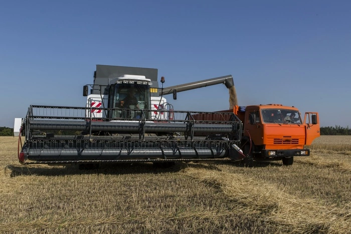 Небывалый урожай зерна принес уральским хозяйствам серьезные убытки