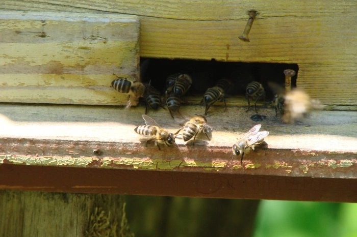 Для сельхозработ в Свердловскую область начали завозить гастарбайтеров