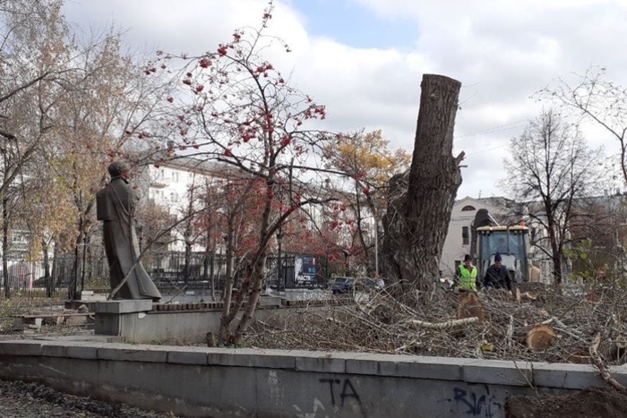 Екатеринбуржцы обеспокоены массовой вырубкой деревьев в городе