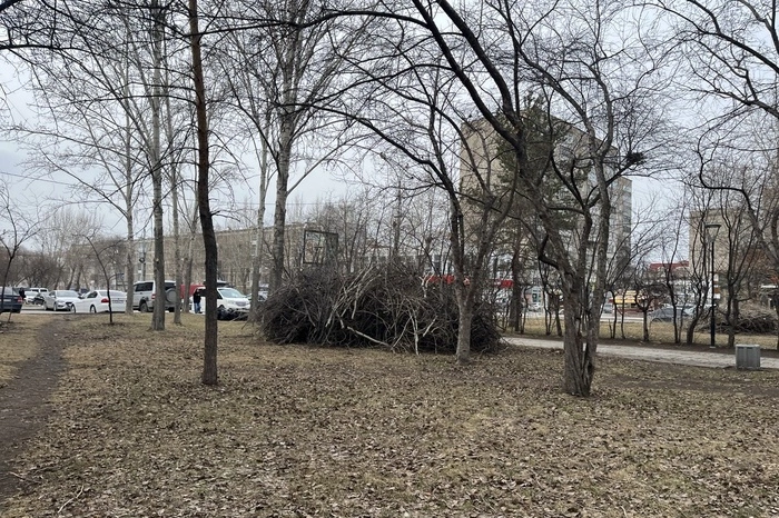 Глава Верх-Исетского района уходит в отставку