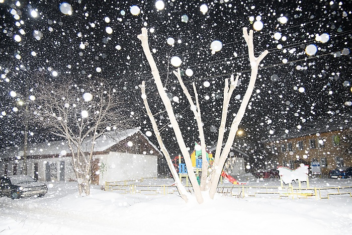 Женщина и ребенок погибли под Оренбургом, предположительно, при катании на санках